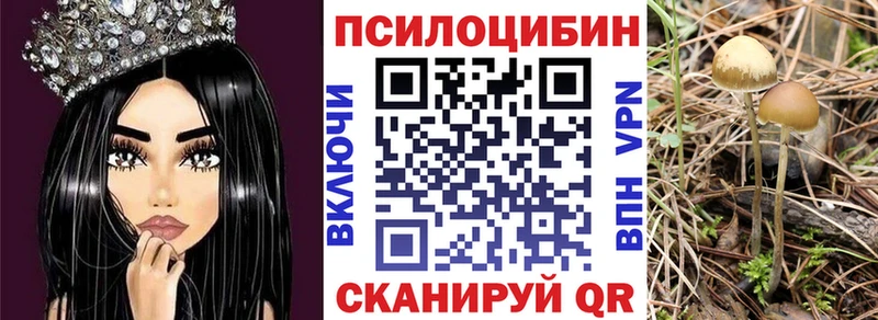 Купить где  Семилуки  Псилоцибиновые грибы мицелий 